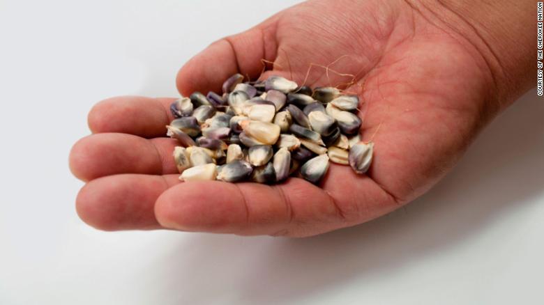The Cherokee Nation is the first tribe in the United States to receive an invitation to deposit its traditional heirloom seeds to the Svalbard Global Seed Vault, a long-term seed storage facility housed deep inside a mountain on a remote island in Norway.