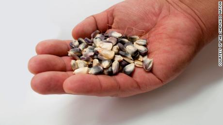 The Cherokee Nation is the first tribe in the United States to receive an invitation to deposit its traditional heirloom seeds to the Svalbard Global Seed Vault, a long-term seed storage facility housed deep inside a mountain on a remote island in Norway.