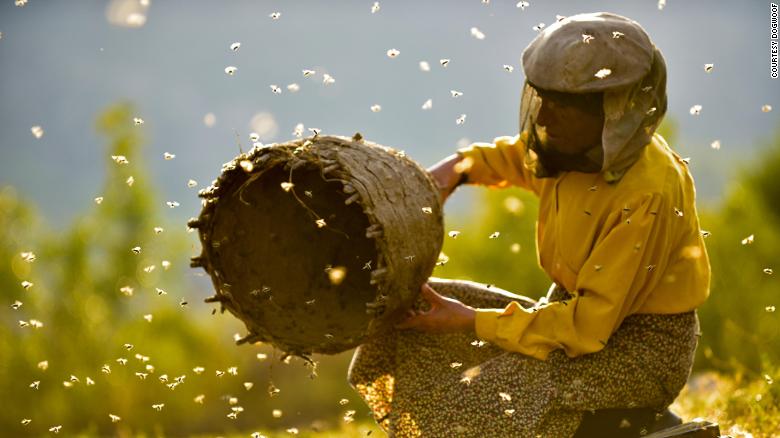 Hatidze Muratova, người nuôi ong bền vững ở trung tâm của phim tài liệu tiếng Macedonia & quot; Honeyland. & Quot;