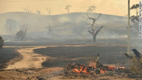 A bushfire burns near the town of Bumbalong, south of Canberra, on February 2, 2020. 
