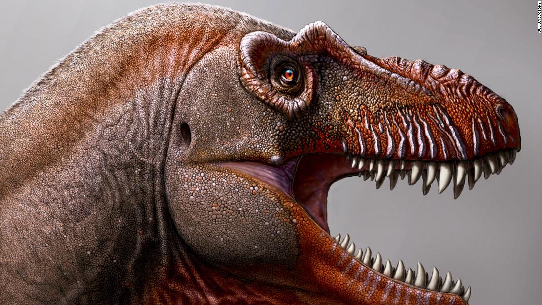 This artist&#39;s illustration shows the newly discovered Tyrannosaurus rex relative, Thanatotheristes degrootorum.