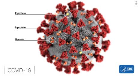 Mutation could make coronavirus more infectious, study suggests