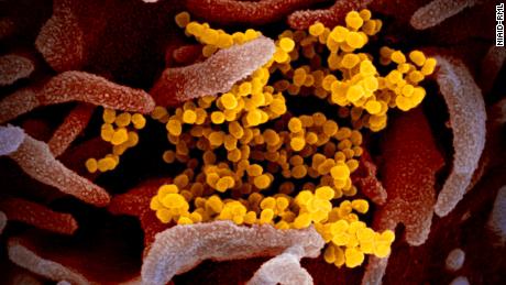 Coronavirus pandemic alters life as we know it
