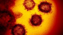 States try to stop hoarding of possible coronavirus treatments 