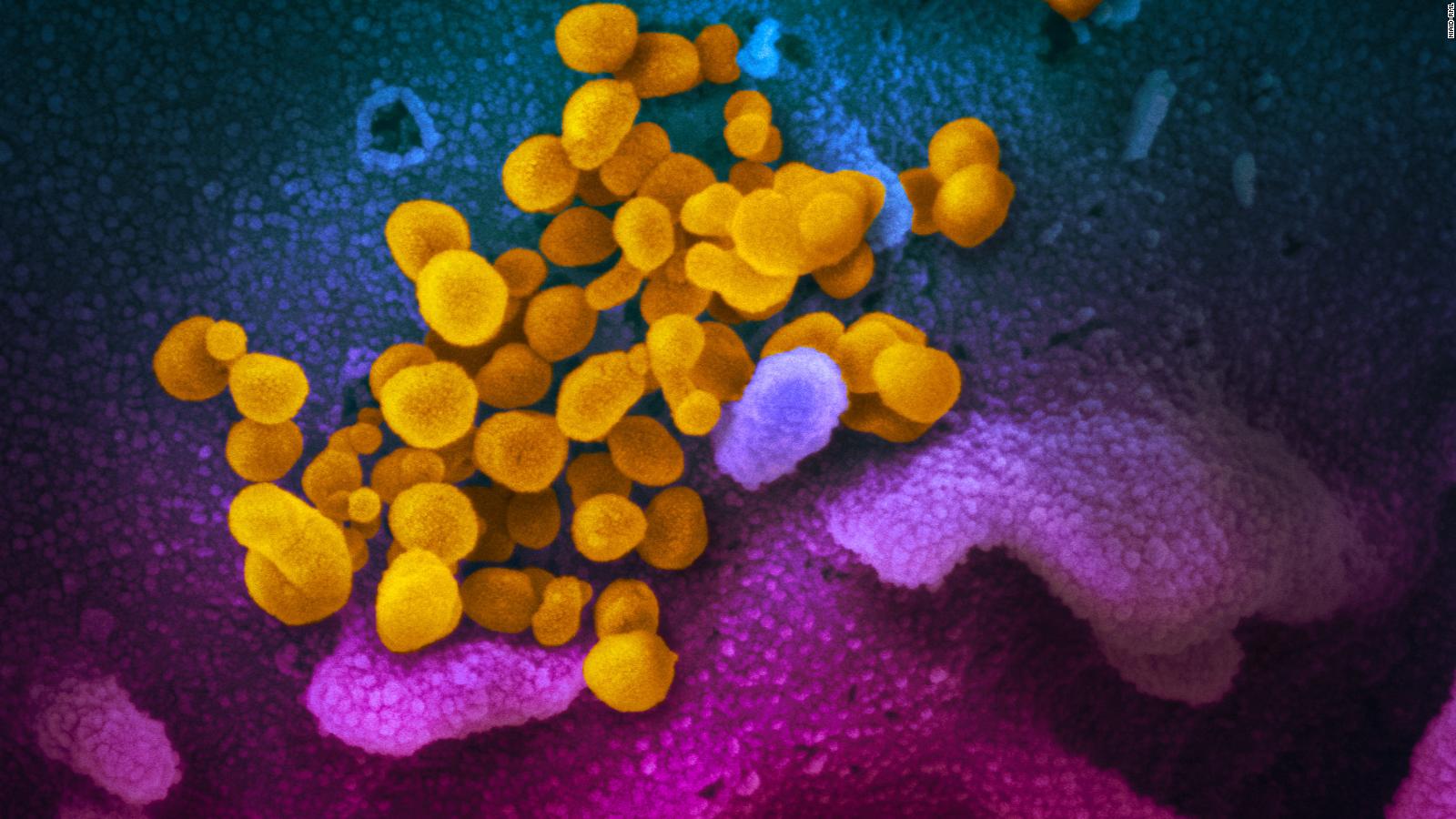 ca coronavirus stats