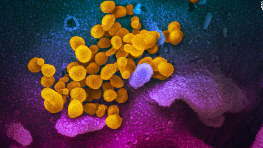 Yang terbaru tentang pandemi coronavirus dan varian Omicron