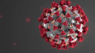 New coronavirus case could be first instance of 'community spread' in US, CDC says