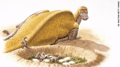 Illustration of Maiasaura newborns in nest  