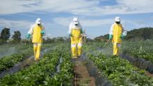 Plastiques et pesticides : les effets sur la santé des produits chimiques synthétiques dans les produits américains ont doublé au cours des 5 dernières années, selon une étude