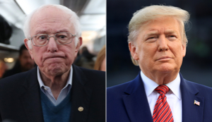 Sanders could not beat Trump simply by mobilizing turnout. Here's why.