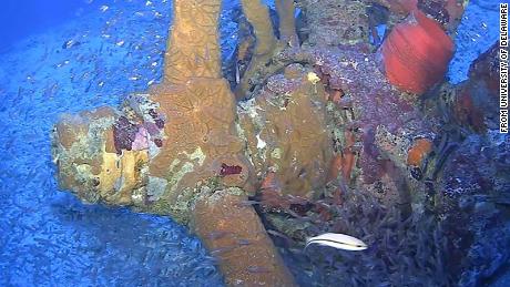 A propeller was found on the sea floor in Micronesia&#39;s Chuuk State, formerly Truk Lagoon.