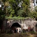 Ghost-stations---TFL_HIGHGATE STATION