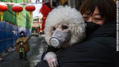 A Chinese woman holds her dog on a Beijing street on February 7, 2020.