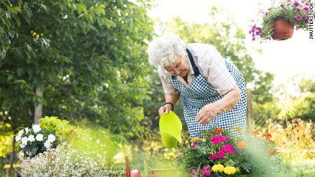 Dance, garden and swim your way to a better brain as you age, study says