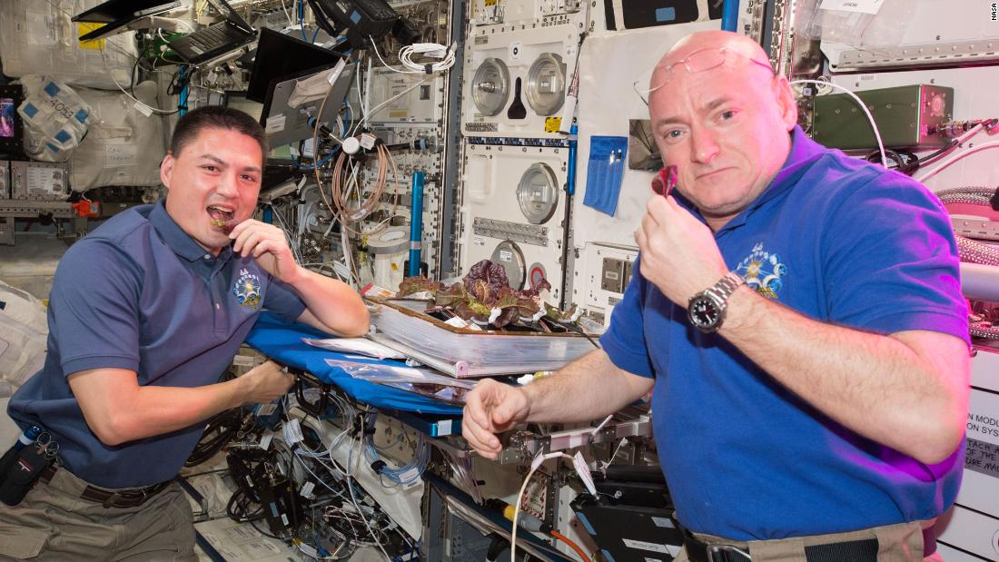 Space-grown lettuce is safe to eat, says study. Delicious, say astronauts 5