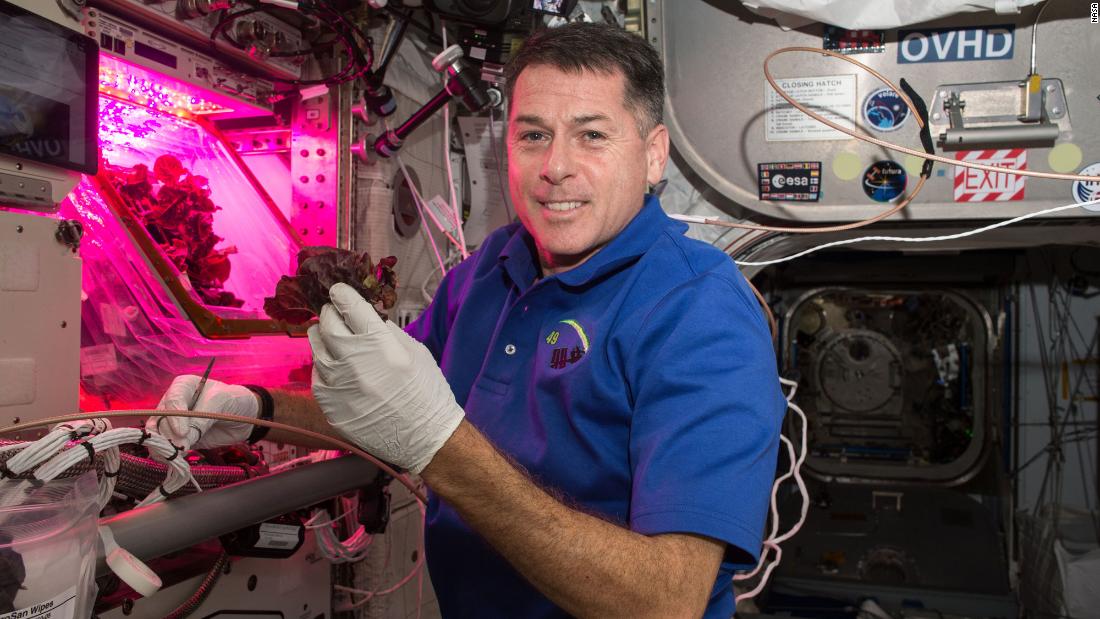 Space-grown lettuce is safe to eat, says study. Delicious, say astronauts 20