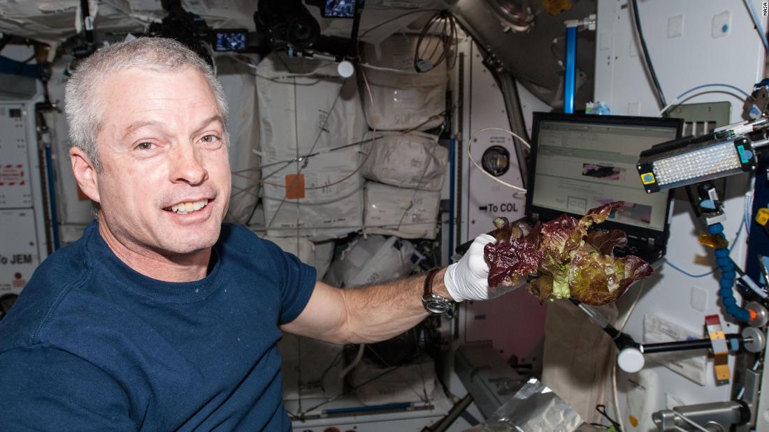 Space-grown lettuce is safe to eat, says study. Delicious, say astronauts 9