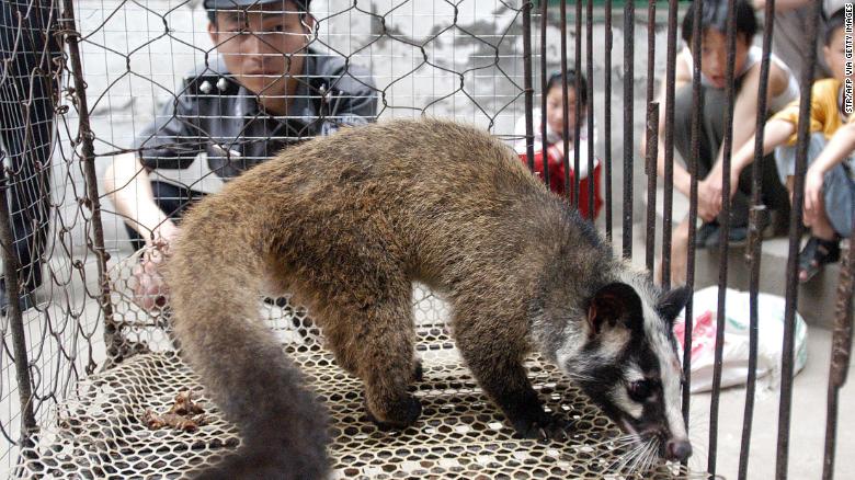 Picture taken in May 2003 shows a policeman watching over a civet cat captured in the wild by a farmer in Wuhan, central China&#39;s Hubei province. 