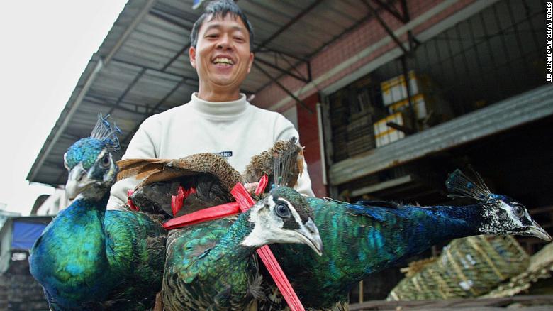 China has made eating wild animals illegal after the coronavirus outbreak. But ending the trade won't be easy