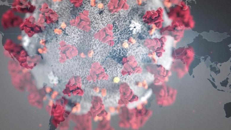 Le résultat de l'étude des symptômes du coronavirus commence environ cinq jours après l'exposition, conclut Johns Hopkins