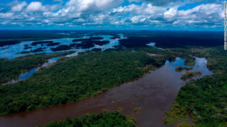 Rainforests are under siege. Here’s what you should know.