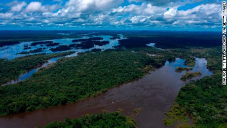 Coronavirus fears grow for Brazil&#39;s indigenous groups