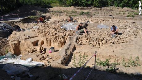 The wealth of bones used to construct the site are visible during excavation.