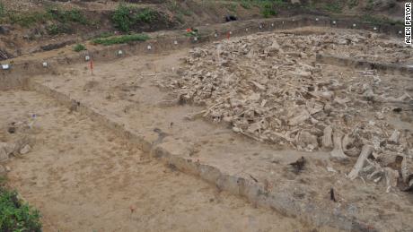 The mammoth bones once acted as walls. Now, they are spread across the interior of the site found in the Russian plains.