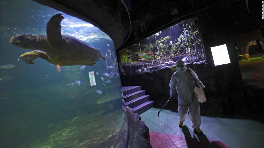 A Sea World employee sprays disinfectant in Jakarta, Indonesia, on March 14, 2020.