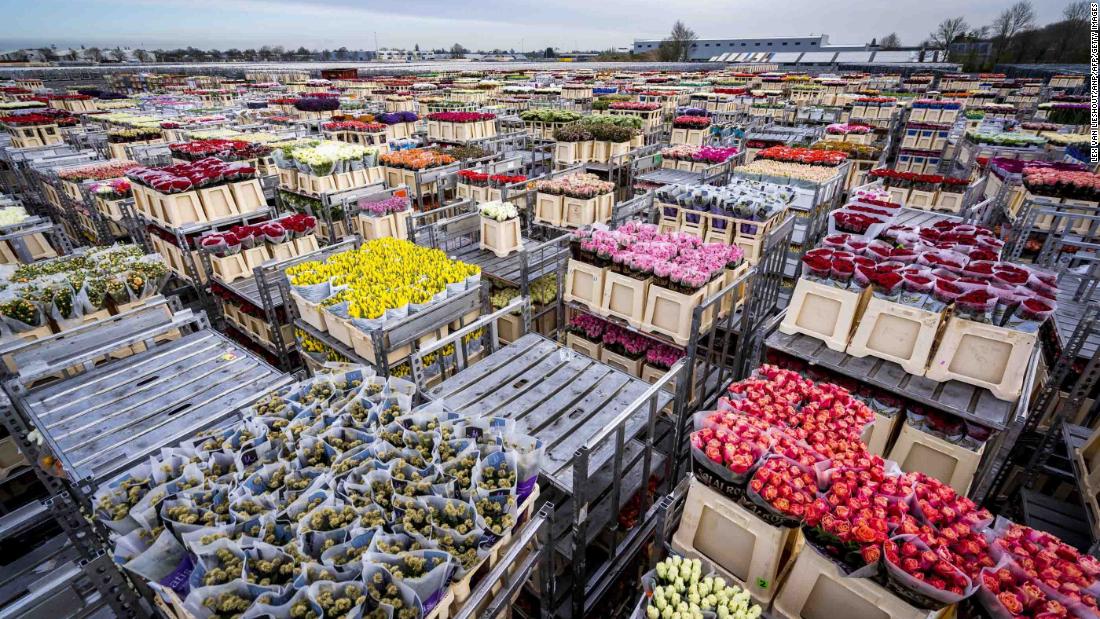 Flowers are stored prior to their destruction at a flower auction in Aalsmeer, Netherlands. Lower demand threatened the Dutch horticultural sector, forcing the destruction of products.