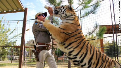 Here&#39;s how many people watched &#39;Tiger King&#39; on Netflix
