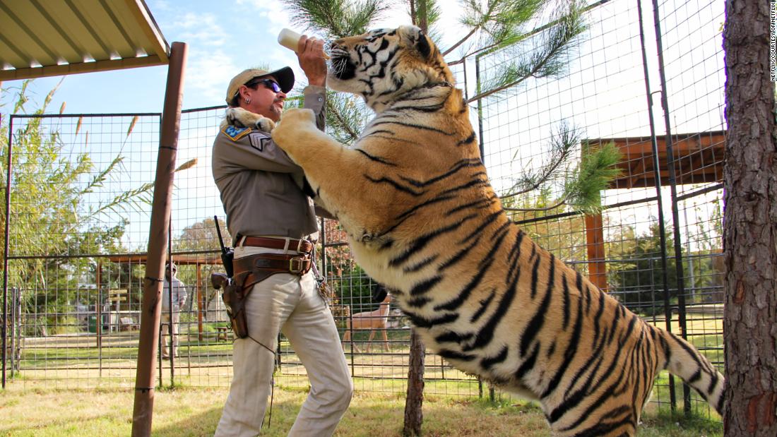 Tiger King Review Tiger King Is The Weird Docu Series Distraction We Can Use Right Now Cnn