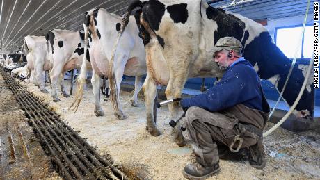 Industry associations representing farmers have said they&#39;re not too worried about the short-term food supply, but if their workers get sick, that could strain their operations. (Angela Weiss/AFP/Getty Images)