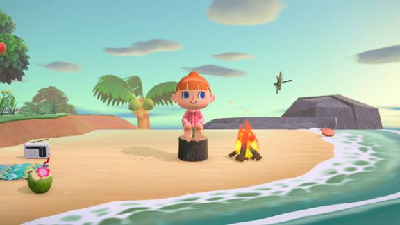 cnn animal crossing