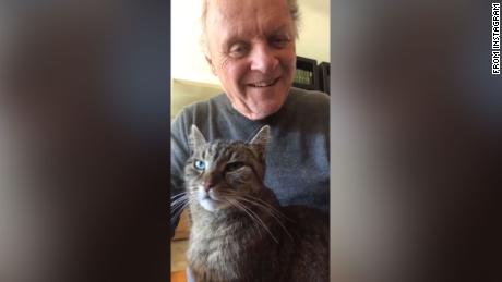 Anthony Hopkins is whiling away the hours by playing the piano to his cat