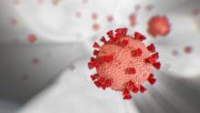 What is coronavirus and Covid-19? An explainer