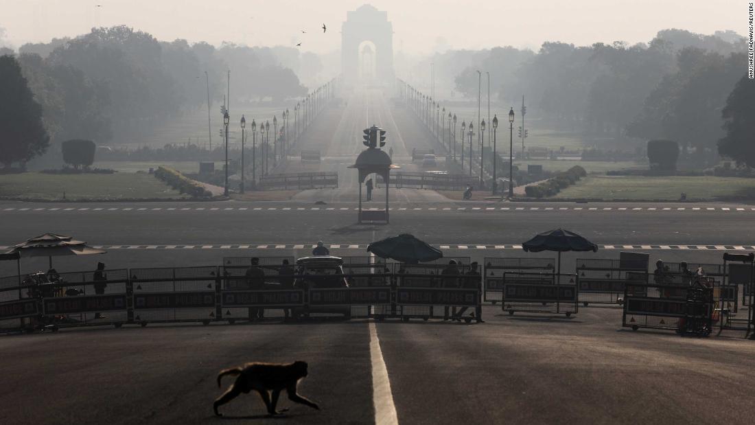 A monkey crosses the road near India&#39;s Presidential Palace in New Delhi on March 22.