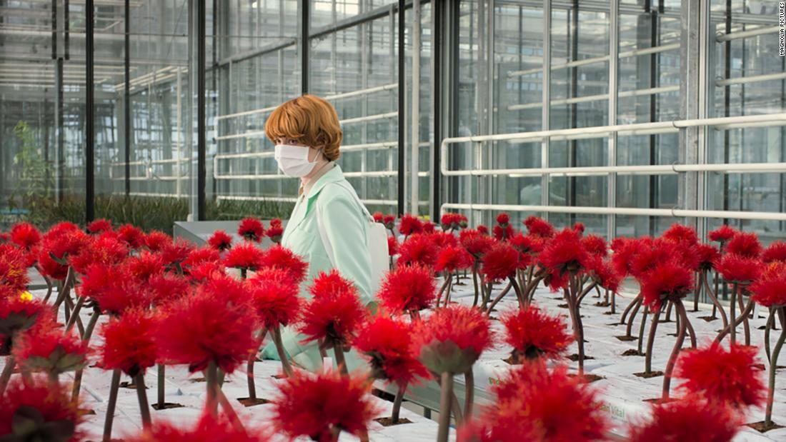&lt;strong&gt;&quot;Little Joe&quot;&lt;/strong&gt;: Alice (Emily Beecham), a single mother and dedicated senior plant breeder at a corporation engaged in developing new species. She engineers a special crimson flower, remarkable not only for its beauty but also because this plant makes its owner happy. Against company policy, Alice takes one home as a gift for her teenage son, Joe. They christen it &#39;Little Joe.&#39; But as their plant grows, so too does Alice&#39;s suspicion that her new creation may not be as harmless as its nickname suggests. &lt;strong&gt;(Hulu) &lt;/strong&gt;