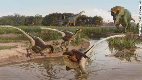 Newly discovered feathered dinosaur was one of the last raptors before extinction