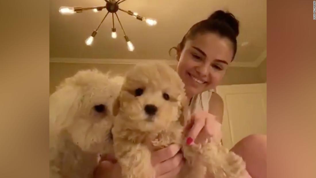 Selena and Miley adopt puppies while they isolate at home | CNN