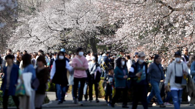 People flock to Tokyo city parks to view the blooming cherry blossoms on March 21. 