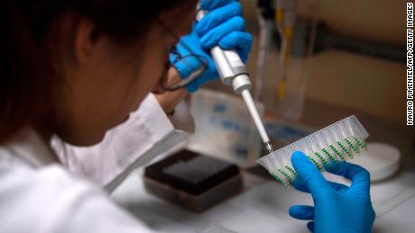 A student of the Federal University of Rio de Janeiro (UFRJ) works at a UFRJ biology laboratory in Rio de Janeiro, Brazil, on November 27, 2018. - Science in Brazil is teetering on a precipice, with researchers forced to personally finance projects or see them terminated because of plummeting government spending, according to several people working in the sector. 