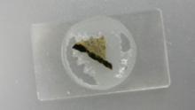 Associate Professor Yohey Suzuki at the University of Tokyo led the effort to develop a new way to prepare rock samples to search for life deep beneath the seafloor. This is an example of one of the thin slices of rock he prepared using special epoxy to ensure the rock held its shape while it was cut.