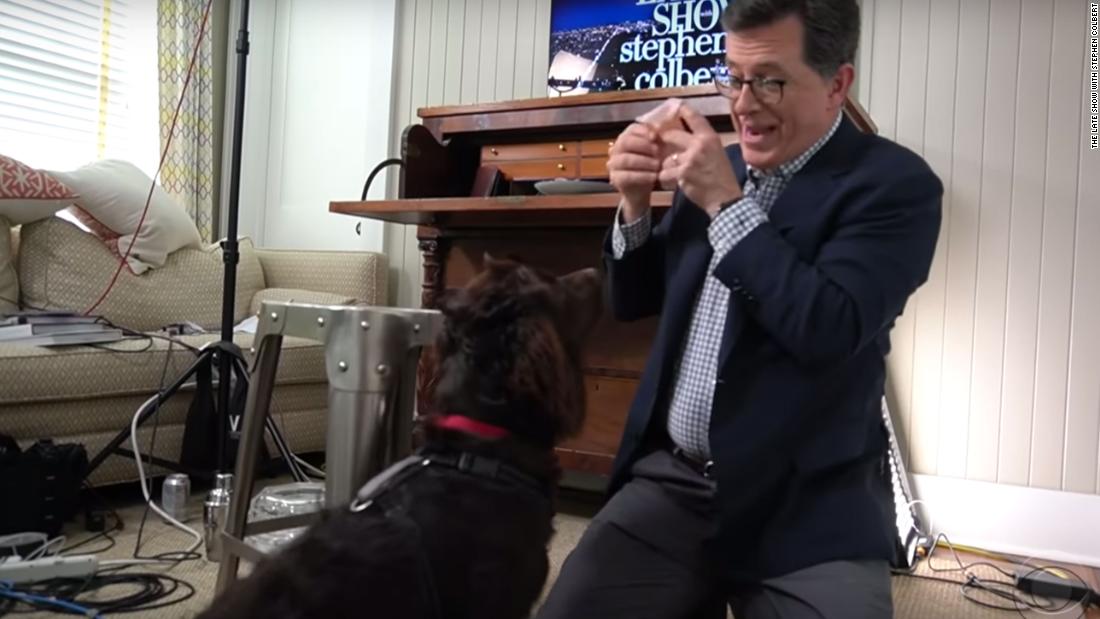 Stephen Colbert's dog Benny is the new star of the 'Late Show' - CNN