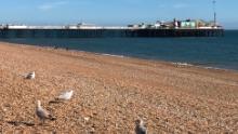 Brighton Beach était en grande partie déserte samedi suite aux instructions données par les autorités locales aux touristes de rester à l'écart de la station balnéaire du sud de l'Angleterre.