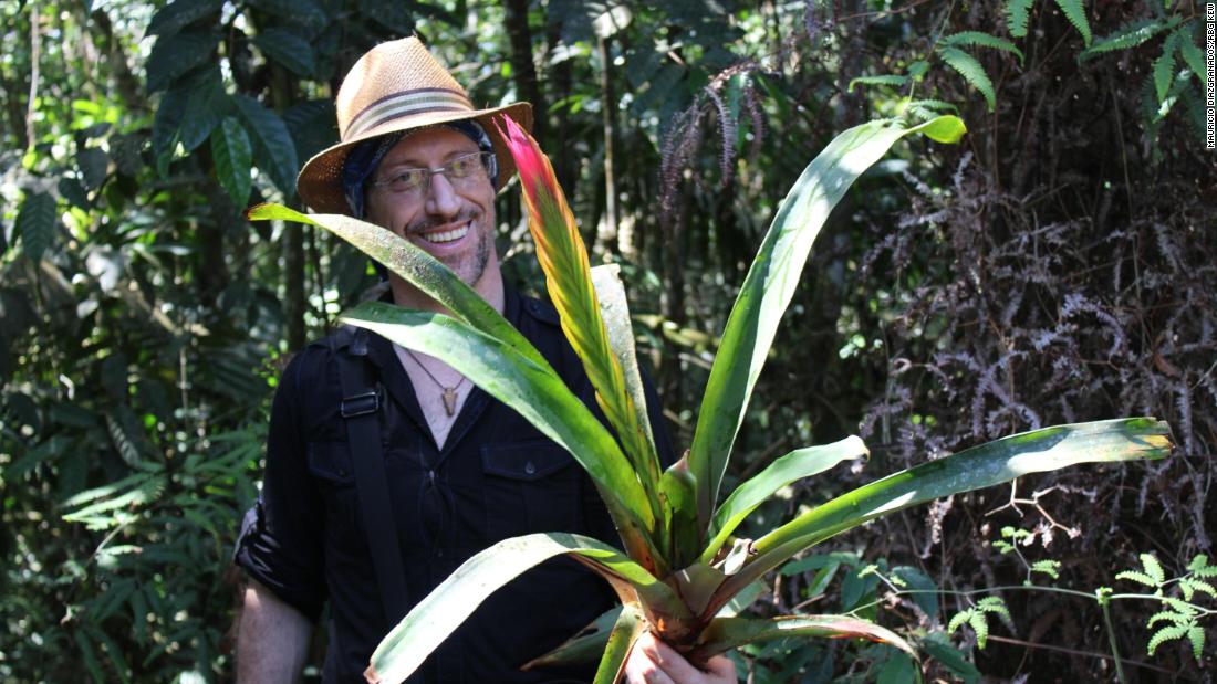 Diazgranados holds a bromeliad specimen on the program&#39;s latest expedition pre-lockdown in February.