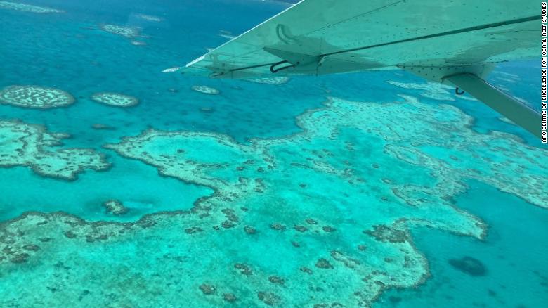Great Barrier Reef Suffers Third Mass Bleaching Event In Five Years Cnn