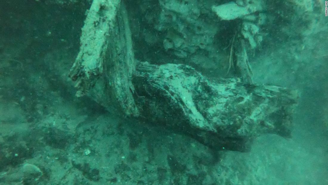 Scientists Uncover An Ancient Underwater Forest That Could Help Pioneer New Medicines Cnn 0359