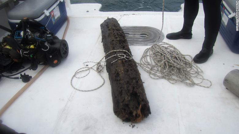 Un pedazo de madera que fue tomado del antiguo bosque submarino. 