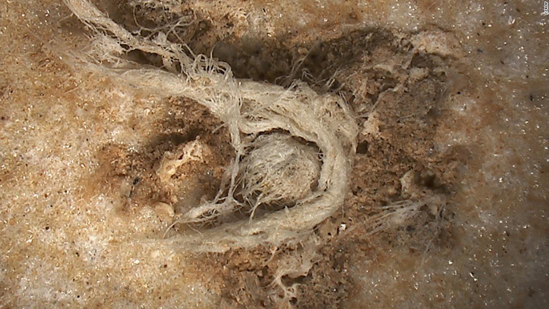 Archeologists have found the oldest string of yarn at a prehistoric site in southern France. This photograph, taken by digital microscopy, shows that of the cord fragment, which is approximately 6.2 mm long and 0.5 mm wide.